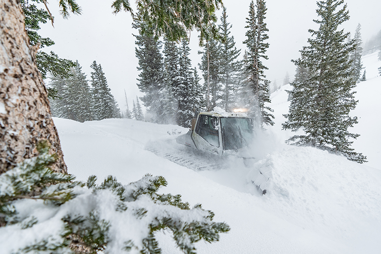 Snowbird Moves Opening Day to Friday, Nov. 18